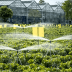 360-Degree Rotating Garden Sprinkler