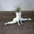 Air Plant Display | Playful Ghost-Shaped Resin