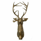 Animal Head Wall Decor | Hand-Painted & UV-Resistant Resin
