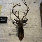 Animal Head Wall Decor | Hand-Painted & UV-Resistant Resin