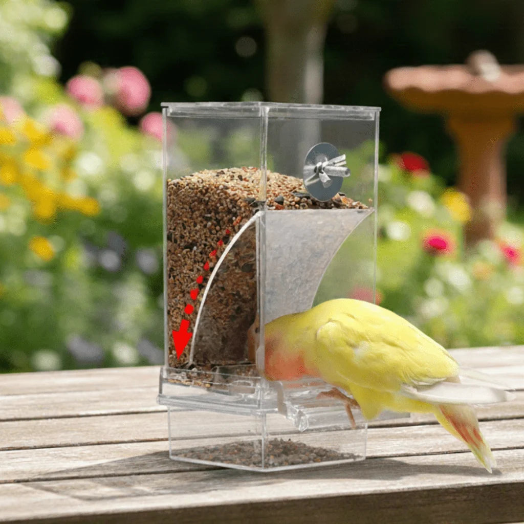 Automatic Bird Feeder | Spill- & Splash-Proof Auto-Dispensing | For Small Birds