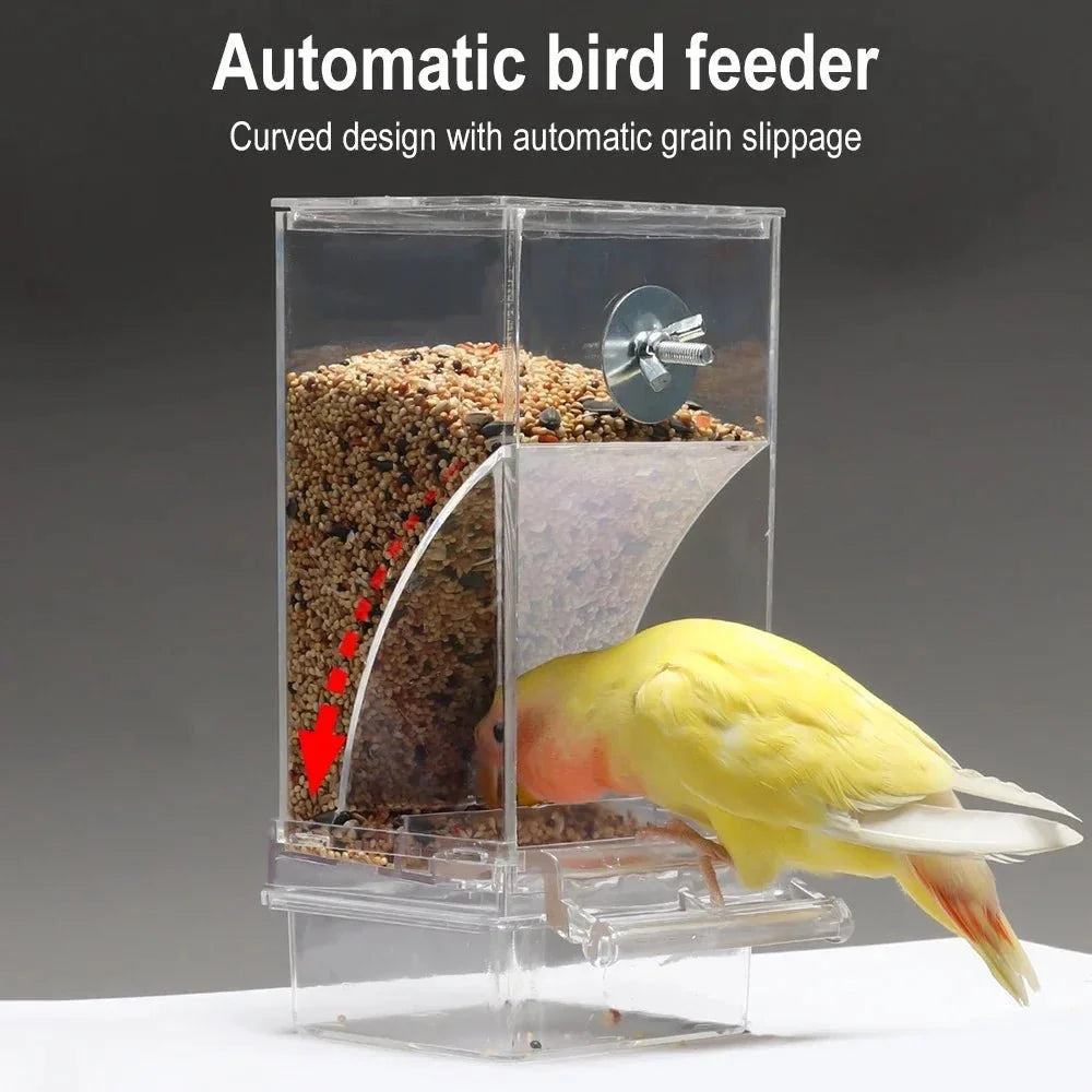 Automatic Bird Feeder | Spill- & Splash-Proof Auto-Dispensing | For Small Birds