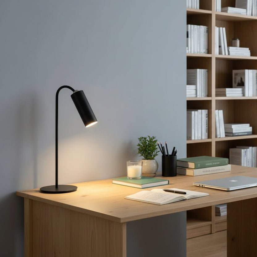 Battery-Powered LED Desk Lamp