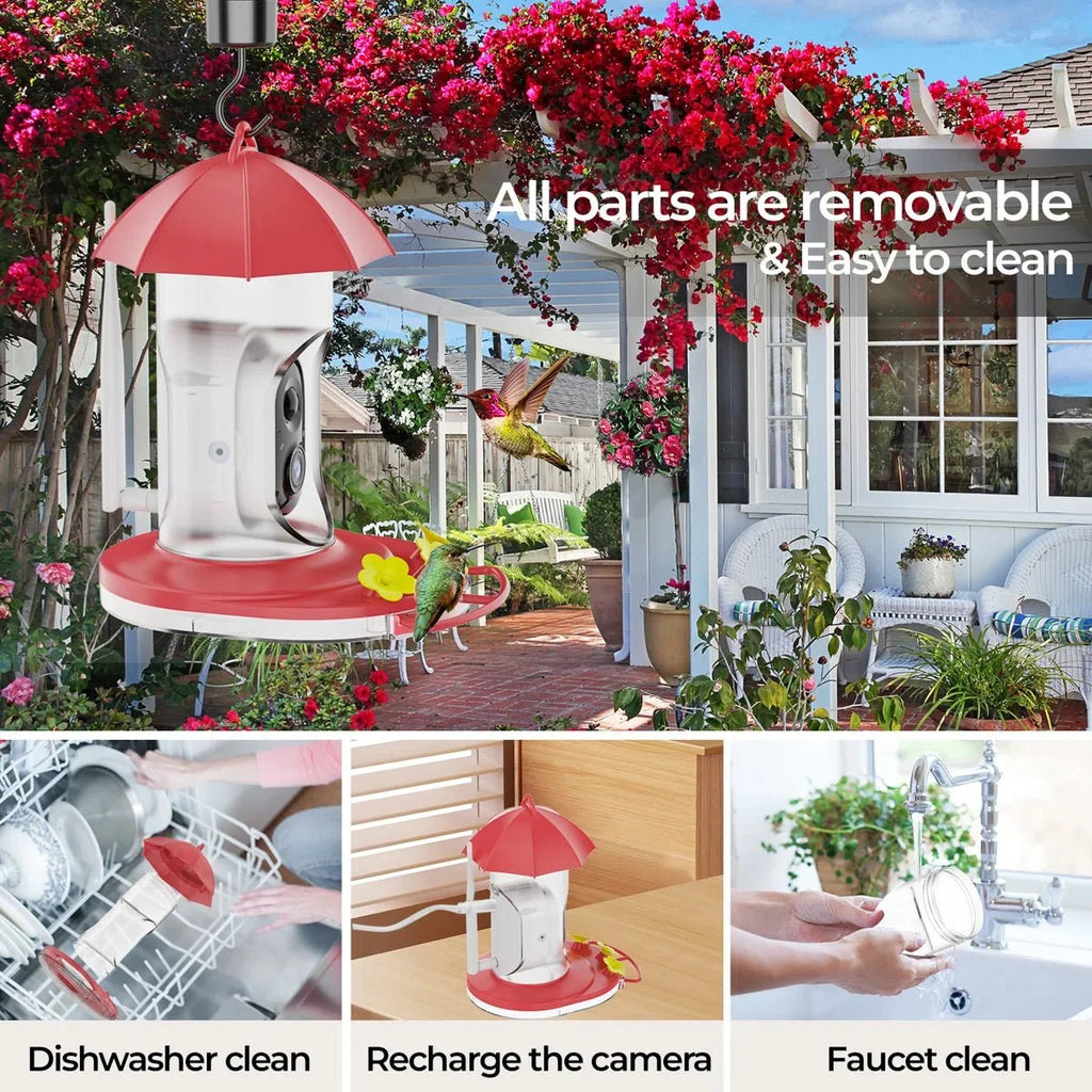 Bird Feeder | 1080P Wide-Angle Camera Anti-Ant & Bee-Proof