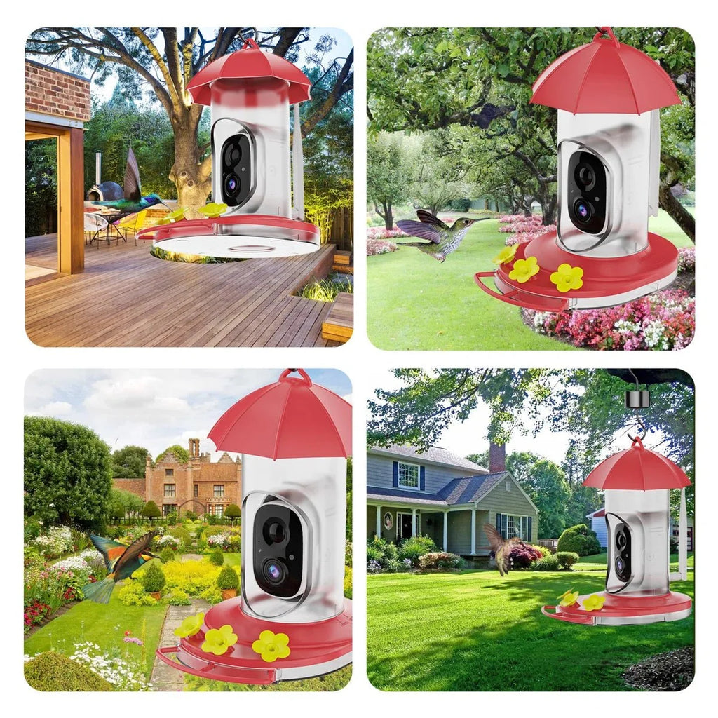 Bird Feeder | 1080P Wide-Angle Camera Anti-Ant & Bee-Proof