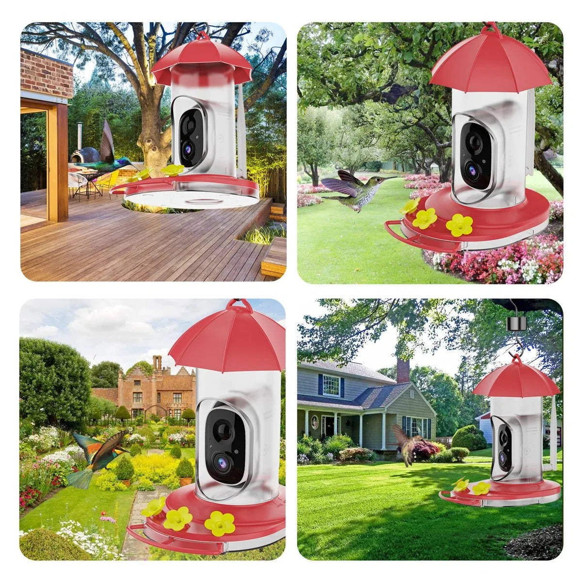 Bird Feeder | 1080P Wide-Angle Camera Anti-Ant & Bee-Proof