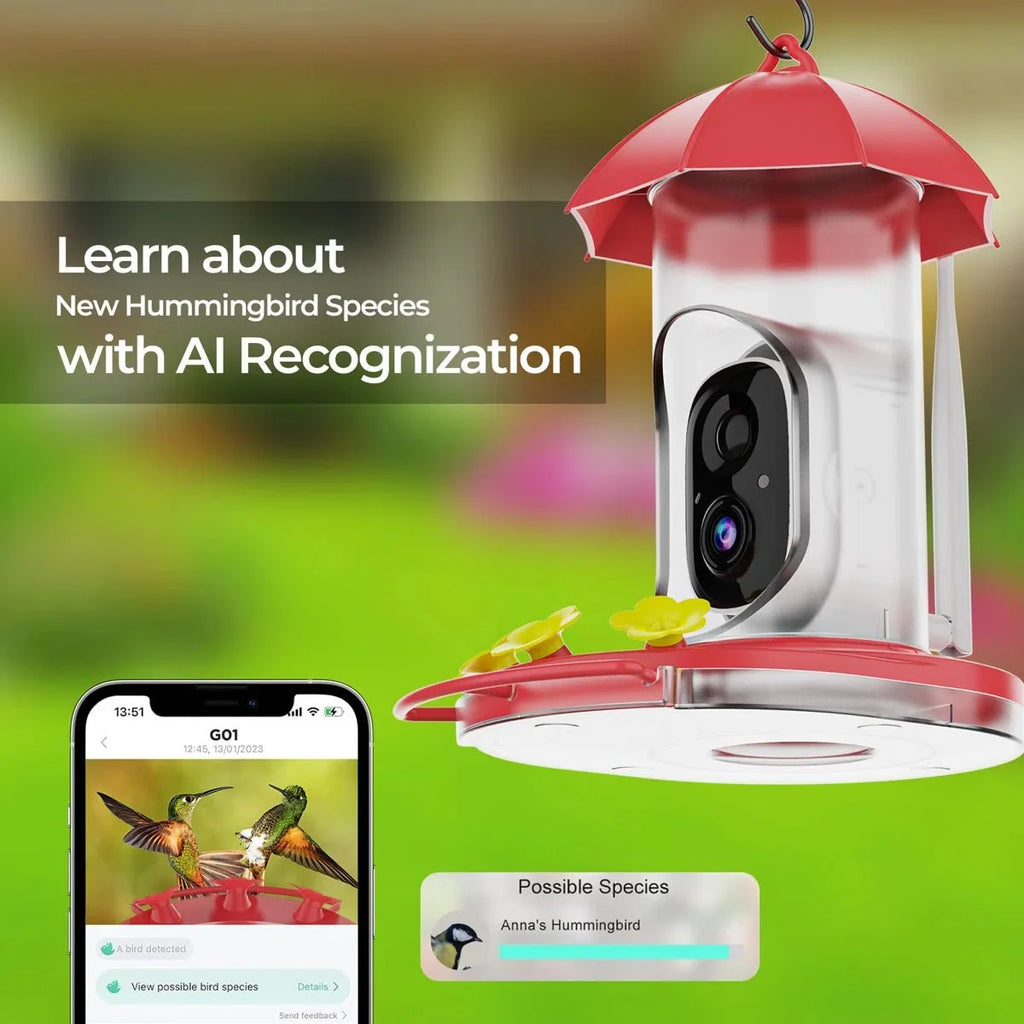 Bird Feeder | 1080P Wide-Angle Camera Anti-Ant & Bee-Proof