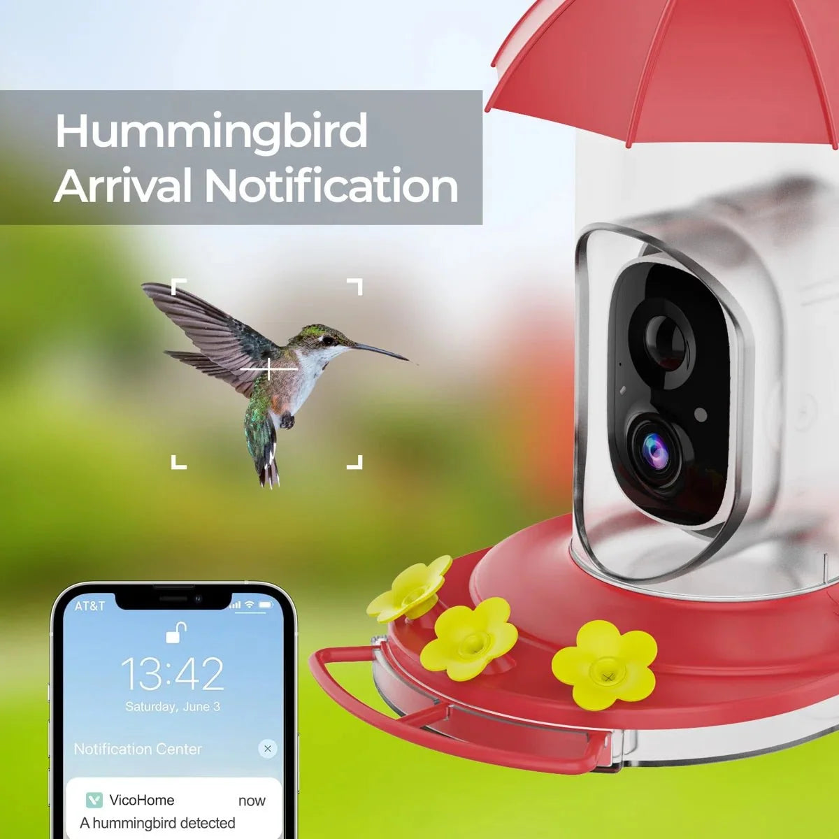 Bird Feeder | 1080P Wide-Angle Camera Anti-Ant & Bee-Proof