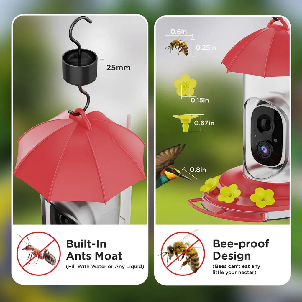 Bird Feeder | 1080P Wide-Angle Camera Anti-Ant & Bee-Proof