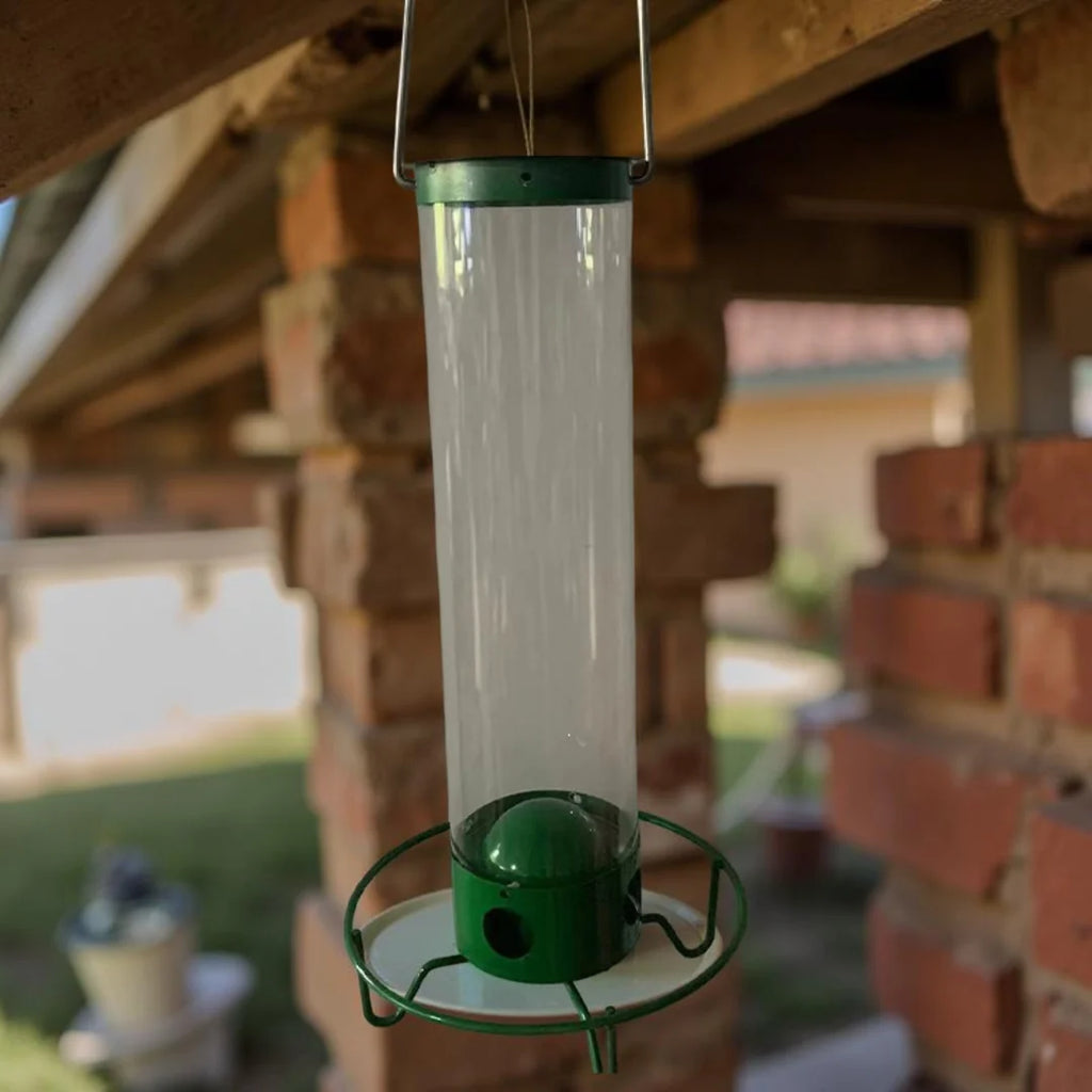 Bird Feeder | Squirrel-Proof Metal & Rotating Perch