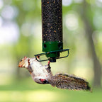 Bird Feeder | Squirrel-Proof Rotating Perch & Large Capacity | Hanging Mount