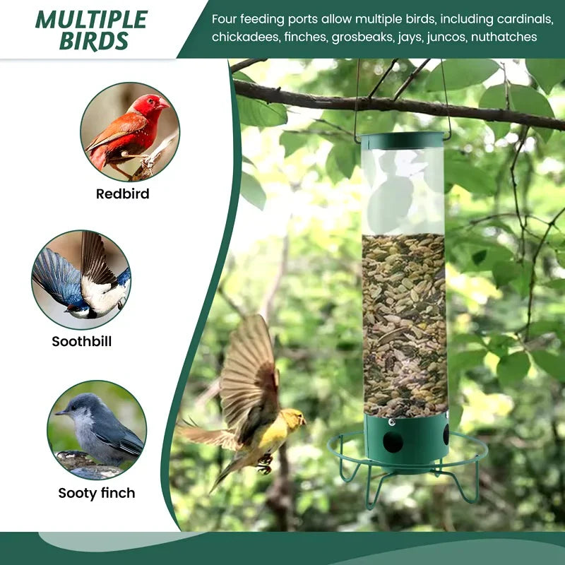 Bird Feeder | Squirrel-Proof Rotating Perch & Large Capacity | Hanging Mount