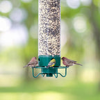 Bird Feeder | Squirrel-Proof Rotating Perch & Large Capacity | Hanging Mount