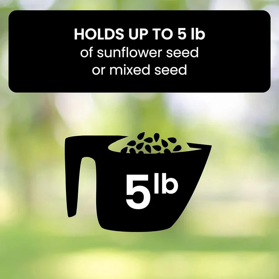 Bird Feeder | Squirrel-Proof Rotating Perch & Large Capacity | Hanging Mount