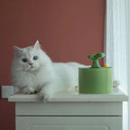 Cat Fountain | Dual Filtration & Food-Grade Ceramic | Under 40 dB