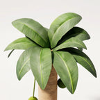 Cat Scratching Post | Compact Palm Design | Sisal & Ball Track
