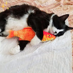 Cat Toy Set | Motion Sensor & USB Rechargeable | Set of 4
