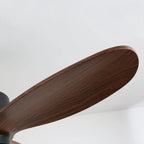 Ceiling Fan | Remote-Controlled 6-Speed & LED Light | 36 in