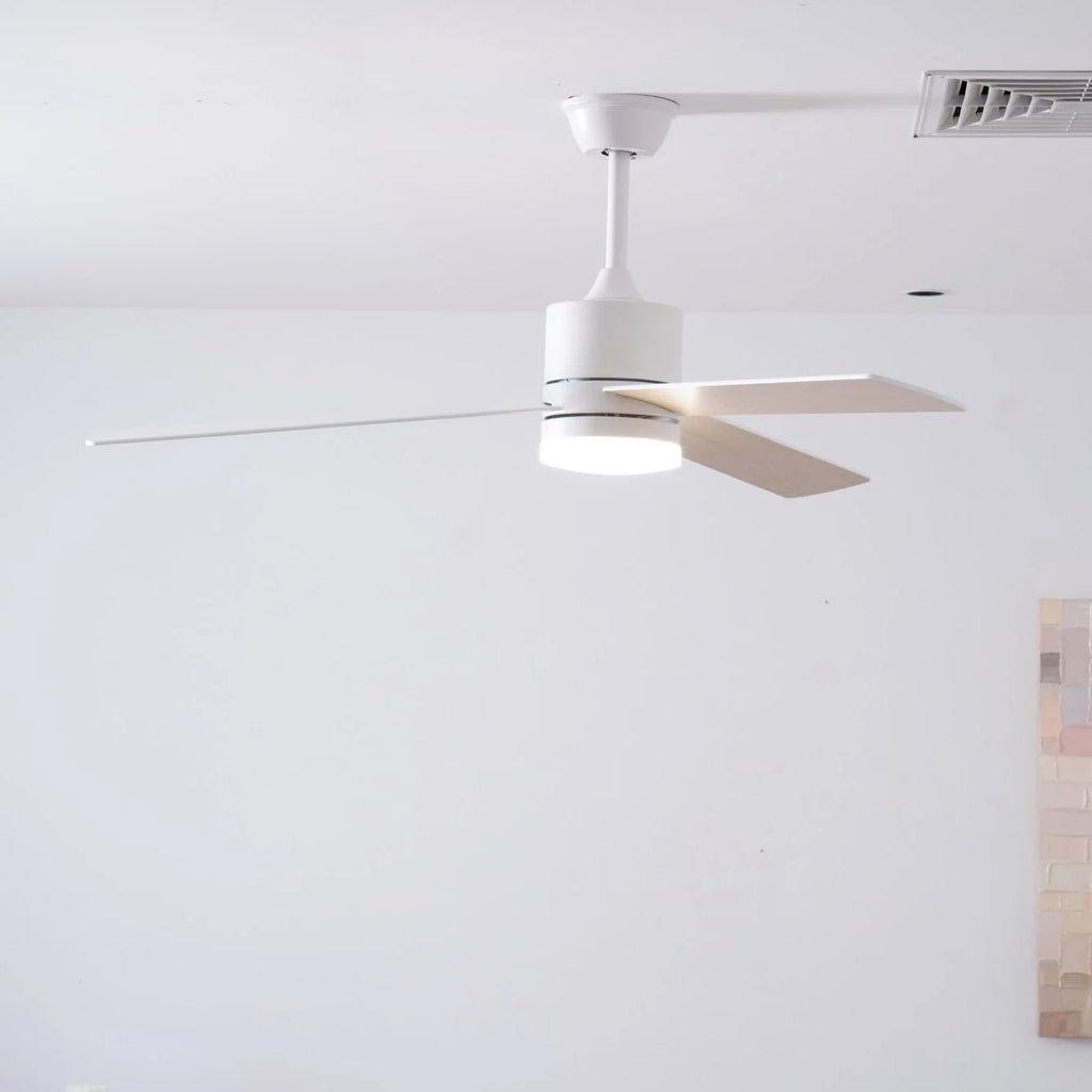 Ceiling Fan With Light | DC Motor & Integrated LED | 132 cm Diameter