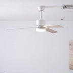 Ceiling Fan With Light | DC Motor & Integrated LED | 132 cm Diameter