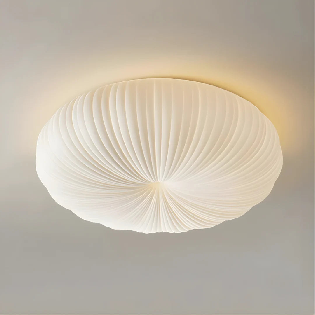 Ceiling Light | Energy-Saving LED & Dimmable
