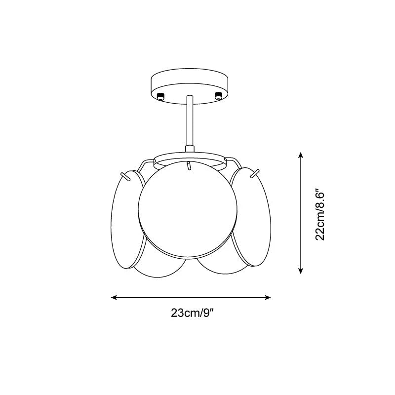Ceiling Light | Glass Dome & Metal Canopy | 23 cm Diameter