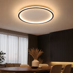 Ceiling Light | Scandinavian Design & Integrated LED