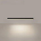 Ceiling Light with Integrated LED