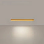 Ceiling Light with Integrated LED