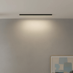 Ceiling Light with Integrated LED