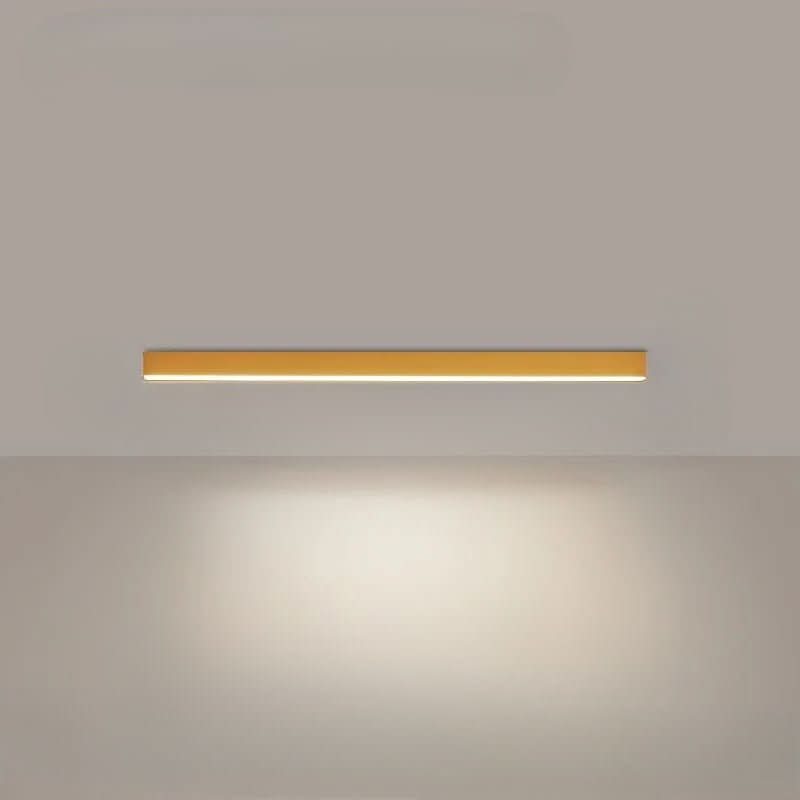 Ceiling Light with Integrated LED