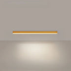 Ceiling Light with Integrated LED
