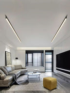 Ceiling Light with Integrated LED