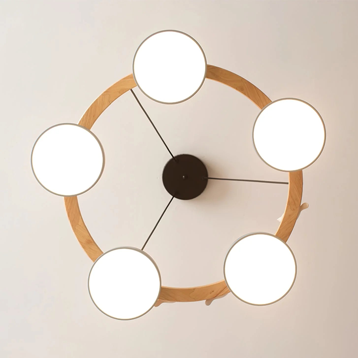 Chandelier with Bird Design