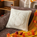 Cushion Cover | Sculptural Textured Embroidery & Plush Polyester | 18 x 18 in
