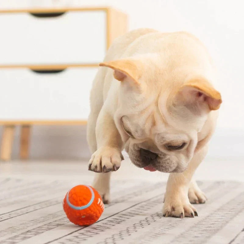 Dog Chew Toy | Extra-Durable Non-Toxic Latex & High-Bounce