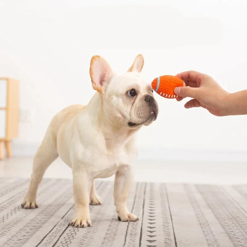 Dog Chew Toy | Extra-Durable Non-Toxic Latex & High-Bounce