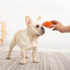 Dog Chew Toy | Extra-Durable Non-Toxic Latex & High-Bounce