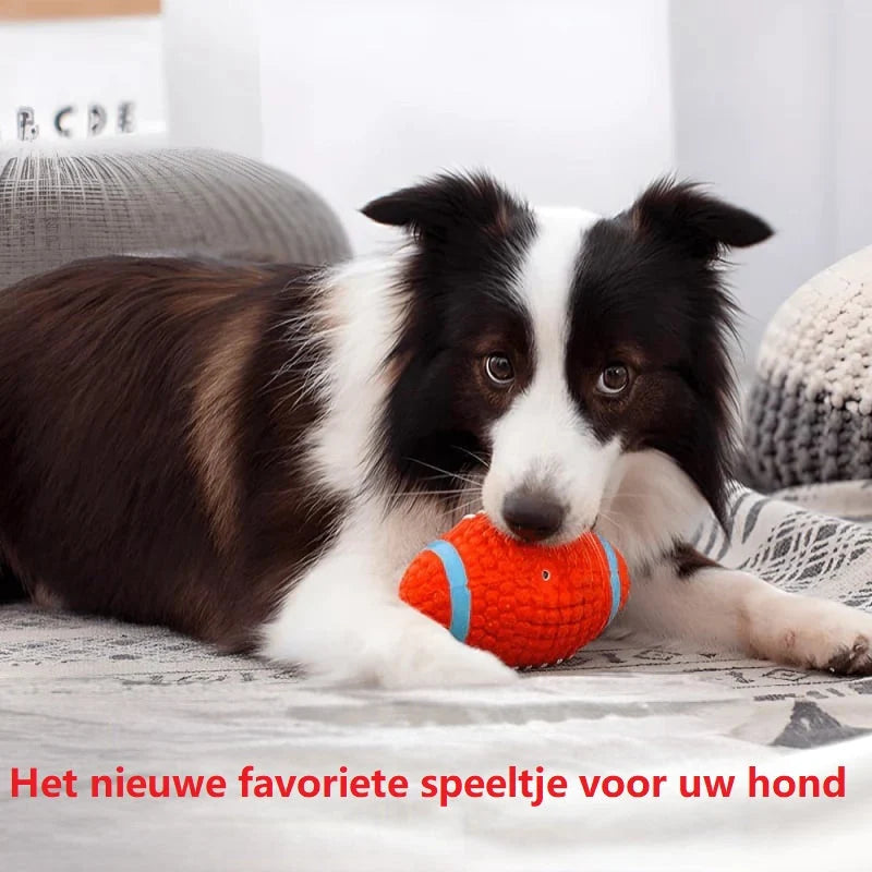 Dog Chew Toy | Extra-Durable Non-Toxic Latex & High-Bounce