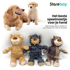 Dog Chew Toy | Indestructible & Non-Toxic
