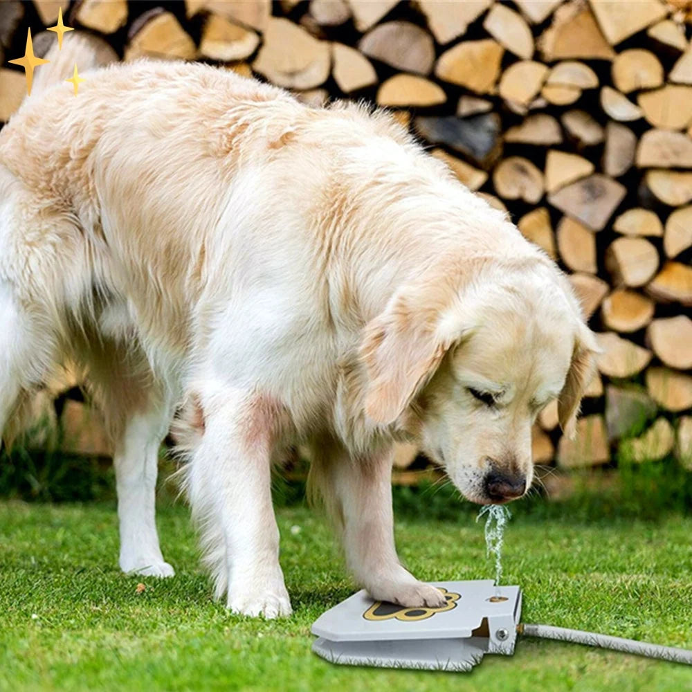 Dog Fountain Toy | Paw-Activated & Hydrating