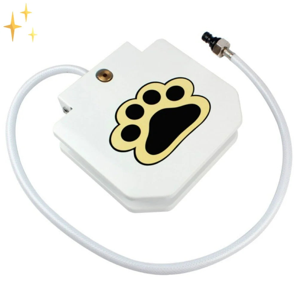 Dog Fountain Toy | Paw-Activated & Hydrating