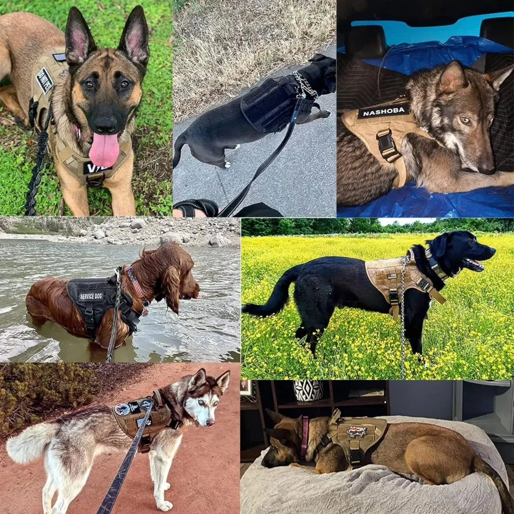 Dog Harness | Quick-Release Handle & Reflective