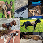 Dog Harness | Quick-Release Handle & Reflective