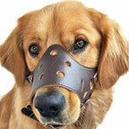 Dog Muzzle | Breathable Mesh & Adjustable Fit