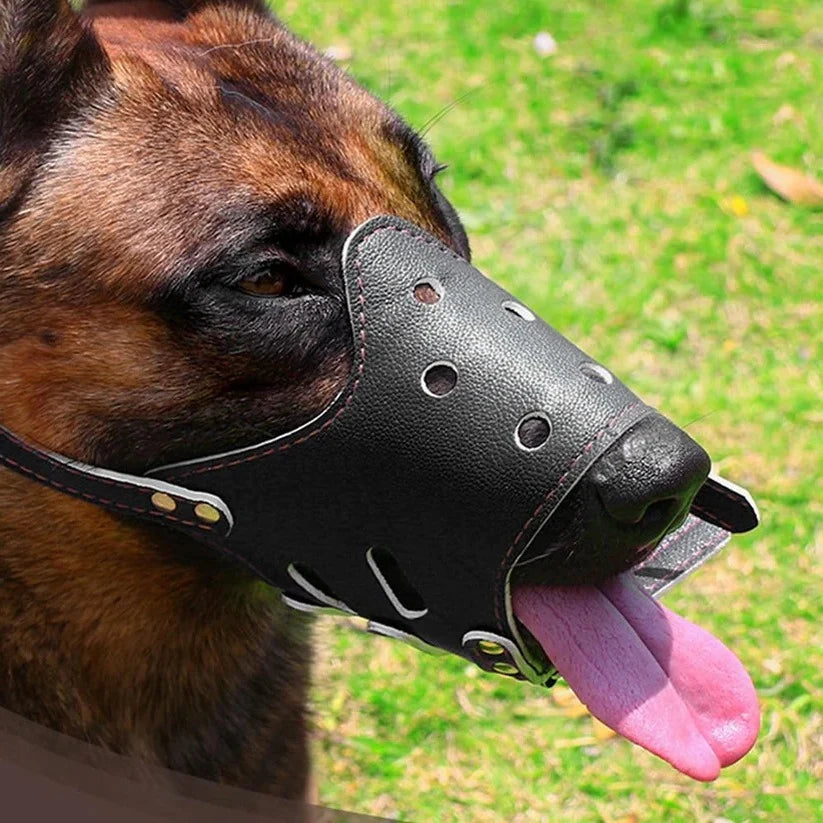 Dog Muzzle | Breathable Mesh & Adjustable Fit