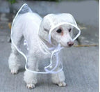 Dog Raincoat | Transparent & Waterproof | Adjustable Belly Strap