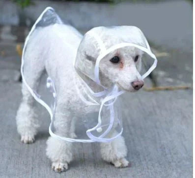 Dog Raincoat | Transparent & Waterproof | Adjustable Belly Strap