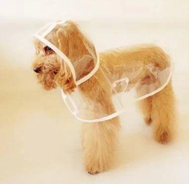 Dog Raincoat | Transparent & Waterproof | Adjustable Belly Strap