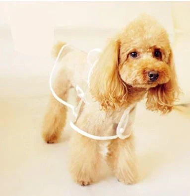 Dog Raincoat | Transparent & Waterproof | Adjustable Belly Strap